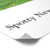 Spotty NZ Lambs Poster (Hoek)