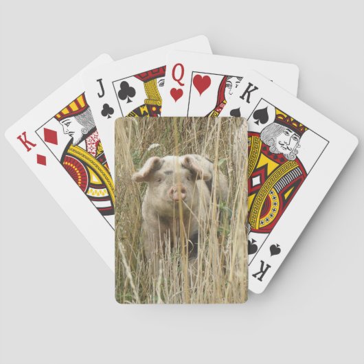 Spotty Pig Playing Cards Speelkaarten (Achterkant)