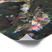 Spotvis Lionfish II Poster (Hoek)