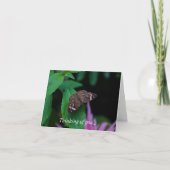 Spotvlinderdendenken van uw Kaart (Voorkant)