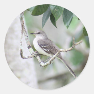 Spotvogel Ronde Stickers