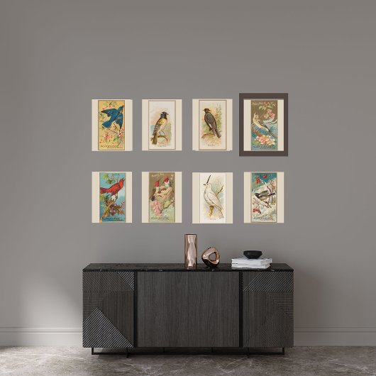 Spotvogel, Set van 8 (5 van 8) Vogelgalerij Muur Poster