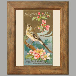 Spotvogel, Set van 8 (5 van 8) Vogelgalerij Muur Poster