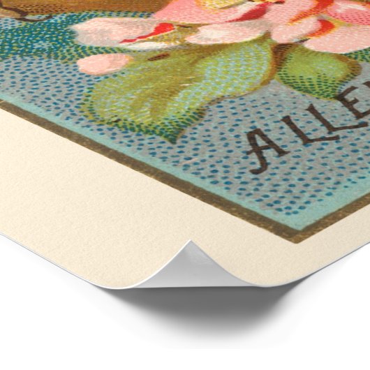 Spotvogel, Set van 8 (5 van 8) Vogelgalerij Muur Poster (Hoek)