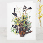Spotvogels Print van Audubon Kaart (Gele Bloem)
