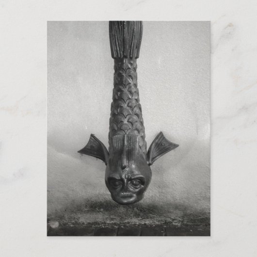 Spout visregen in Savannah, Ga. Briefkaart (Voorkant)