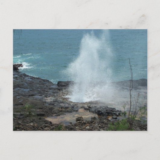 Spouting Horn Postcard Briefkaart (Voorkant)