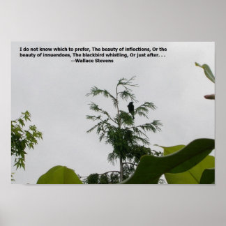 Spraakschildering Poster