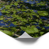 Sprague Lake I in Rocky Mountain National Park Poster (Hoek)