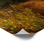 Sprague Lake in Herfst Poster (Hoek)