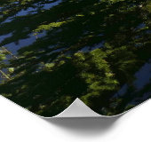 Sprague Lake Uitzicht Poster (Hoek)