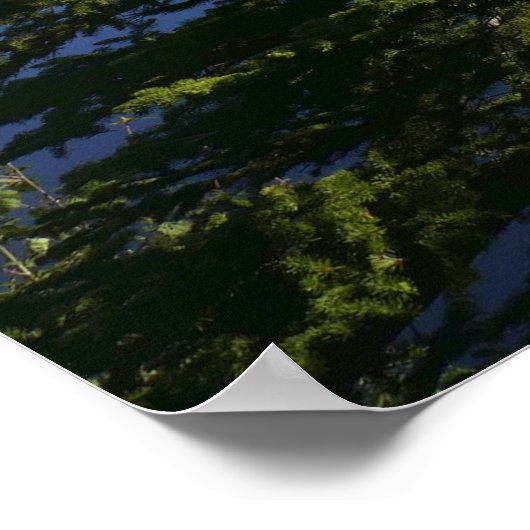 Sprague Lake Uitzicht Poster (Hoek)