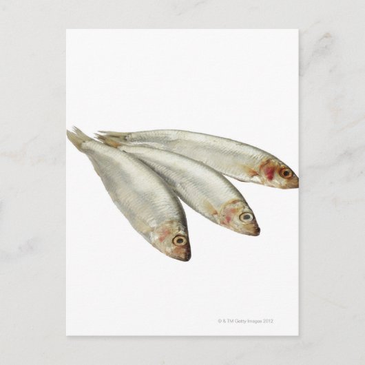 Sprats Briefkaart (Voorkant)
