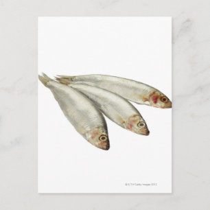 Sprats Briefkaart