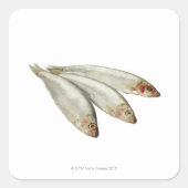 Sprats Vierkante Sticker (Voorkant)