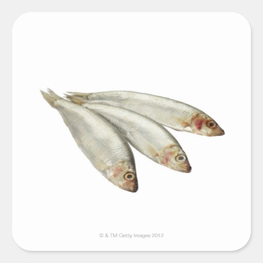 Sprats Vierkante Sticker (Voorkant)
