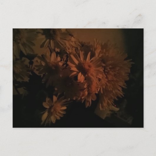 Spray chrysanthemums under dim lighting briefkaart (Voorkant)