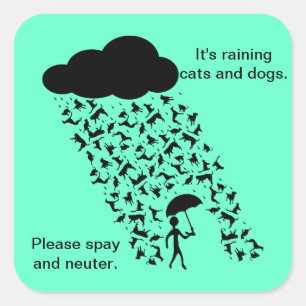 "Spray en Neuter" Stickers