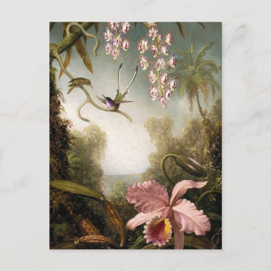 Spray Orchids met Hummingbird Briefkaart (Voorkant)