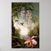 Spray Orchids met Hummingbird Poster (Voorkant)
