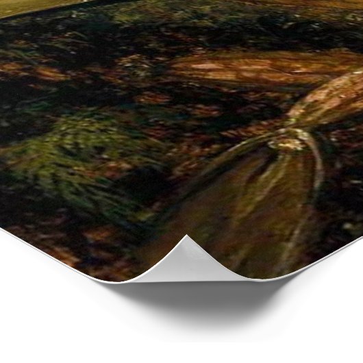 Spray Orchids met Hummingbird Poster (Hoek)