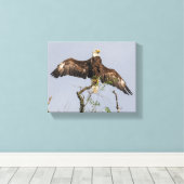 Spread Eagle Canvas Afdruk (Insitu (Houten vloer))