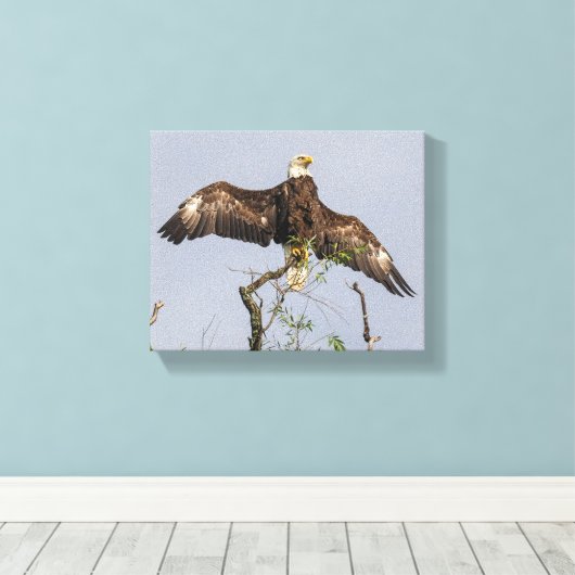 Spread Eagle Canvas Afdruk (Insitu (Houten vloer))