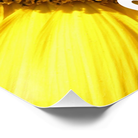 Spread Joy Poster (Hoek)