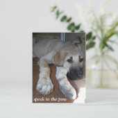 Spreek aan de poot briefkaart (Staand voorkant)