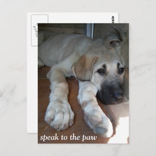 Spreek aan de poot briefkaart (Voorkant / Achterkant)