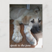 Spreek aan de poot briefkaart (Voorkant)