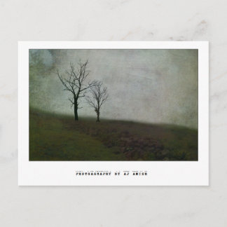 Spreek geen bittere woorden - briefkaart