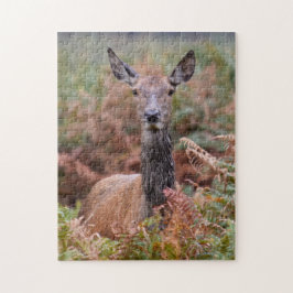 Spreek je met mij? - 11 x 14 - 252 stuks legpuzzel