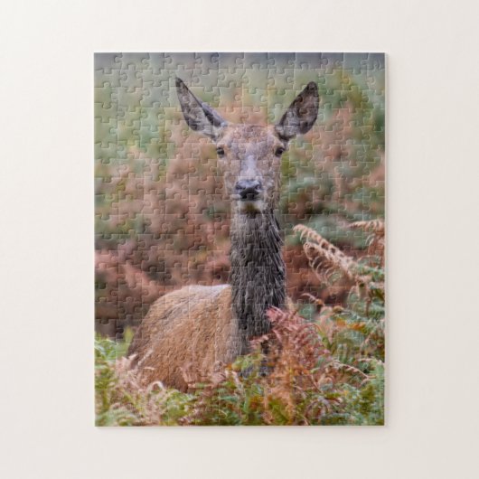 Spreek je met mij? - 11 x 14 - 252 stuks legpuzzel (Verticaal)