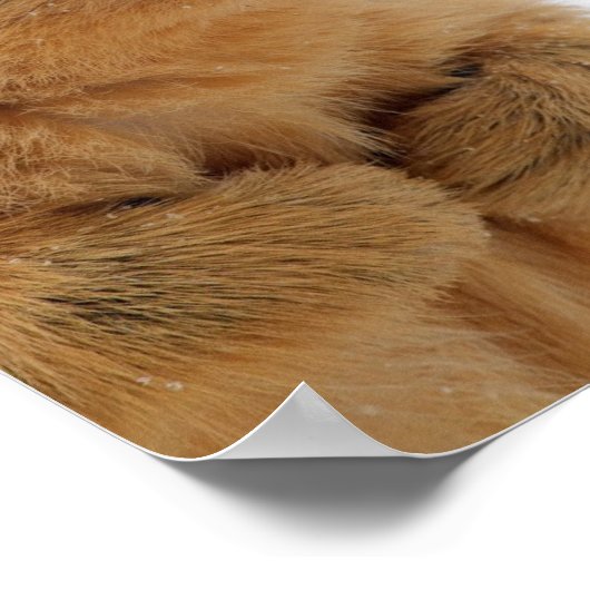 Spreek je met mij? poster (Hoek)