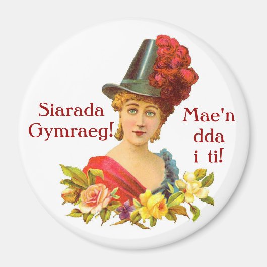 Spreek Welsh! magneet (Voorkant)