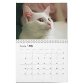 SPREEKT DE WITTE KITTEN - CALLENDER KALENDER (Jan 2026)