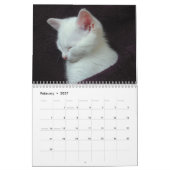 SPREEKT DE WITTE KITTEN - CALLENDER KALENDER (Feb 2027)