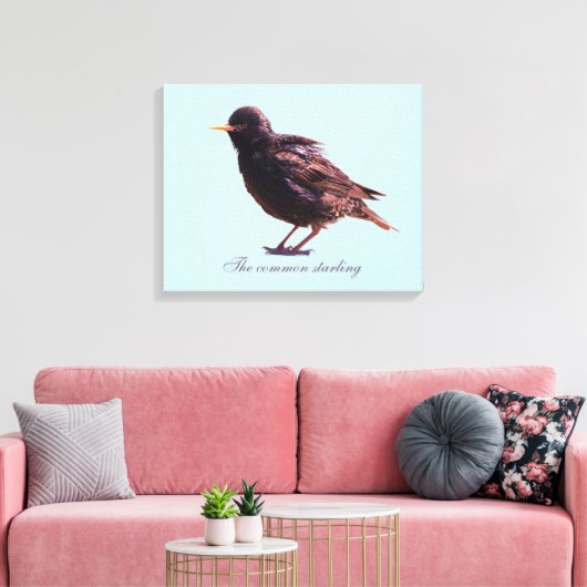 Spreeuw canvas afdruk (Insitu (Woonkamer))