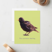 Spreeuw notitiekaartje (Voorkant / Achterkant in situ)