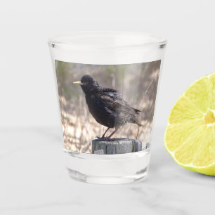 Spreeuw op een Houten Paal Shot Glas