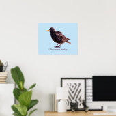 Spreeuw  poster (Thuiskantoor)