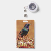 Spreeuw Vogel Badge (Voorzijde met uittrekbare clip)