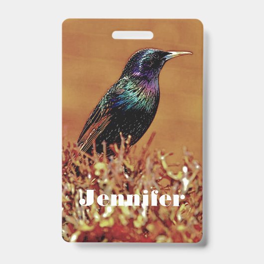 Spreeuw Vogel Badge (Voorzijde)