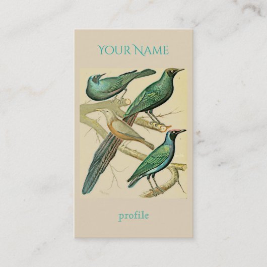 spreeuwen en mynaikvogels visitekaartje (Voorkant)