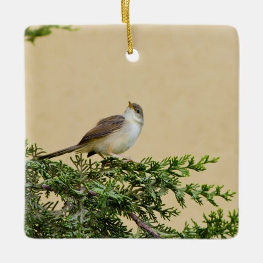 Spreeuwen Postkaart Keramisch Ornament (Voorkant)