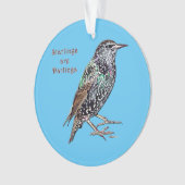 Spreeuwen zijn lievelingen ornament (voorkant)