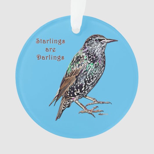 Spreeuwen zijn lievelingen ornament (voorkant)