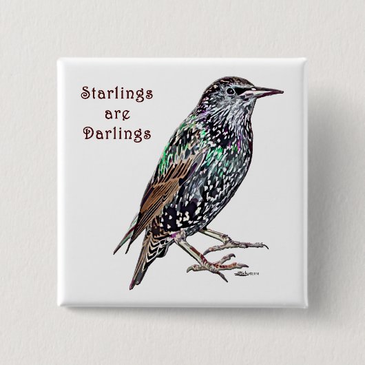 Spreeuwen zijn lievelingen vierkante button 5,1 cm (Voorkant)