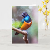 spreeuwvogel zittend op boom ledemaat kaart (Gele Bloem)